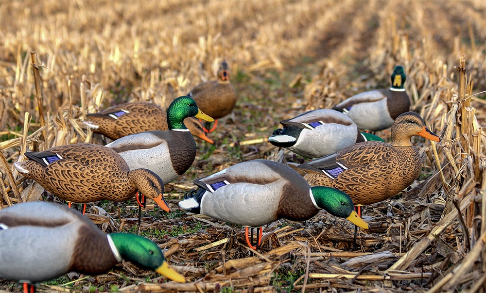 Hunting decoys deals